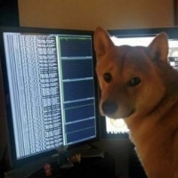 作者头像
